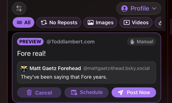 Delayed posts and replies feature