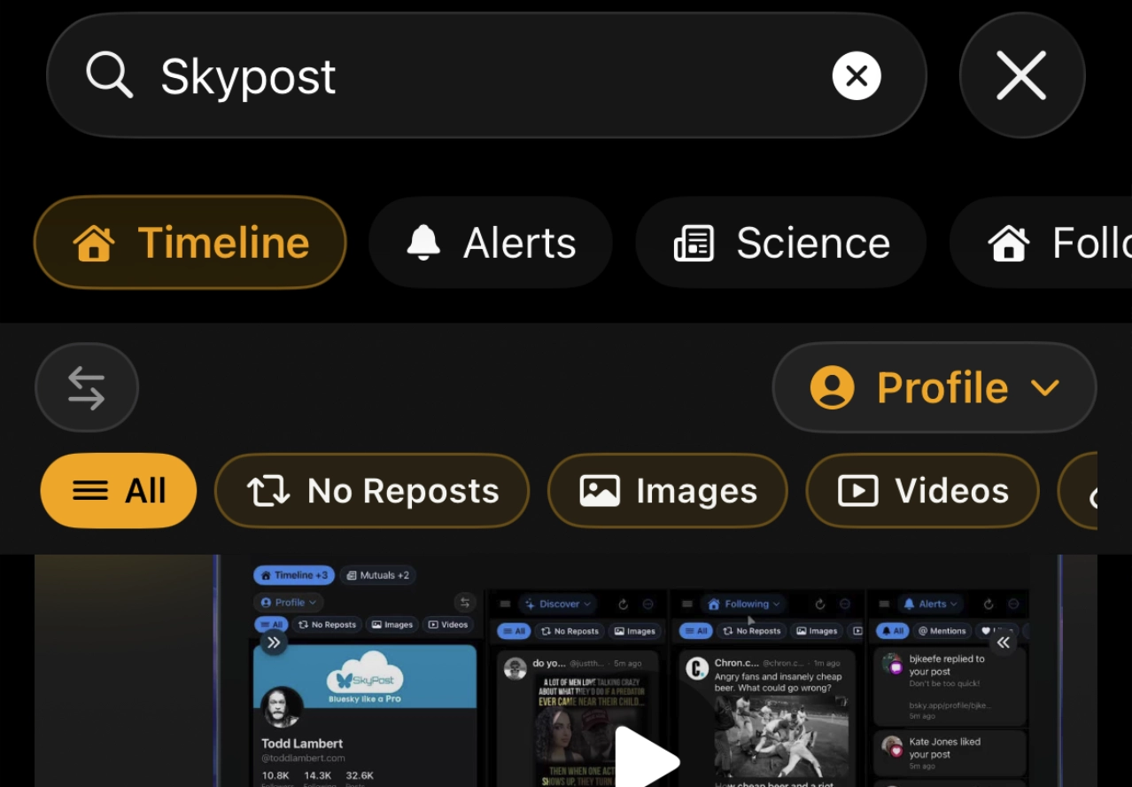 Search feature