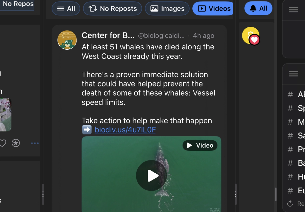 YouTube and video embeds feature